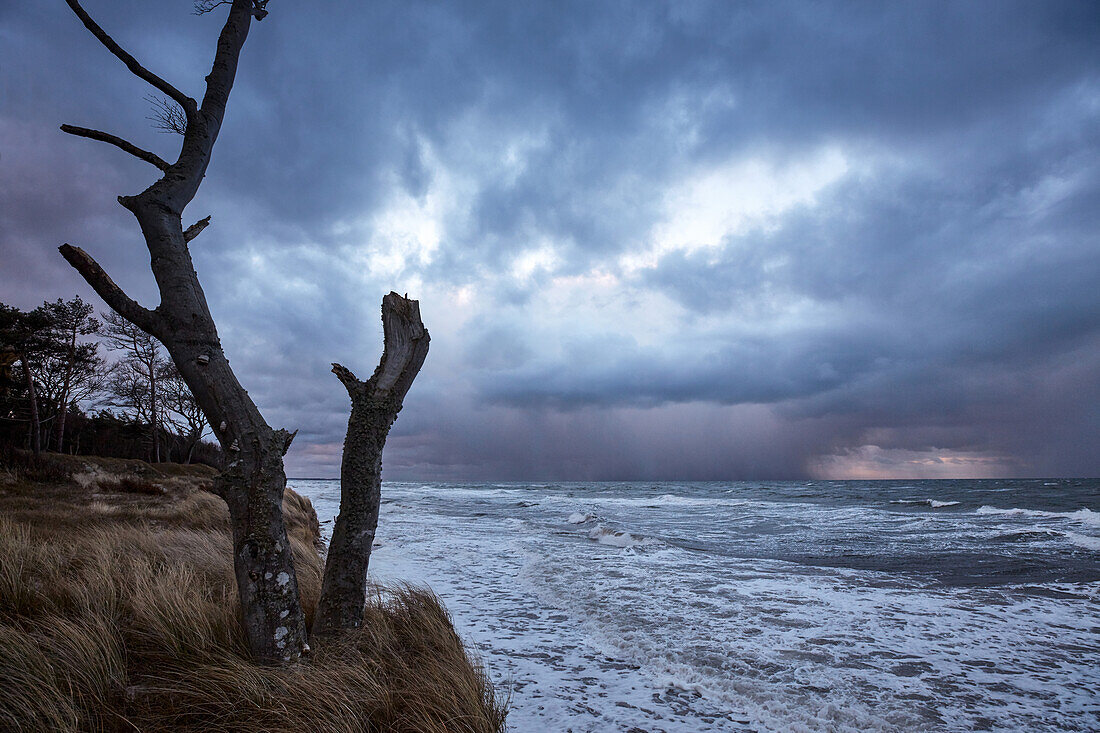 Storm floods on Weststrand beach, Darss, Baltic sea coast, Mecklenburg Vorpommern, Germany