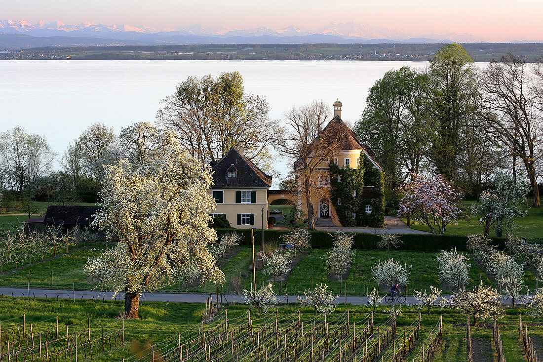 Villa and Lake Constance, Hagnau am Bodensee, Baden-Wuerttemberg