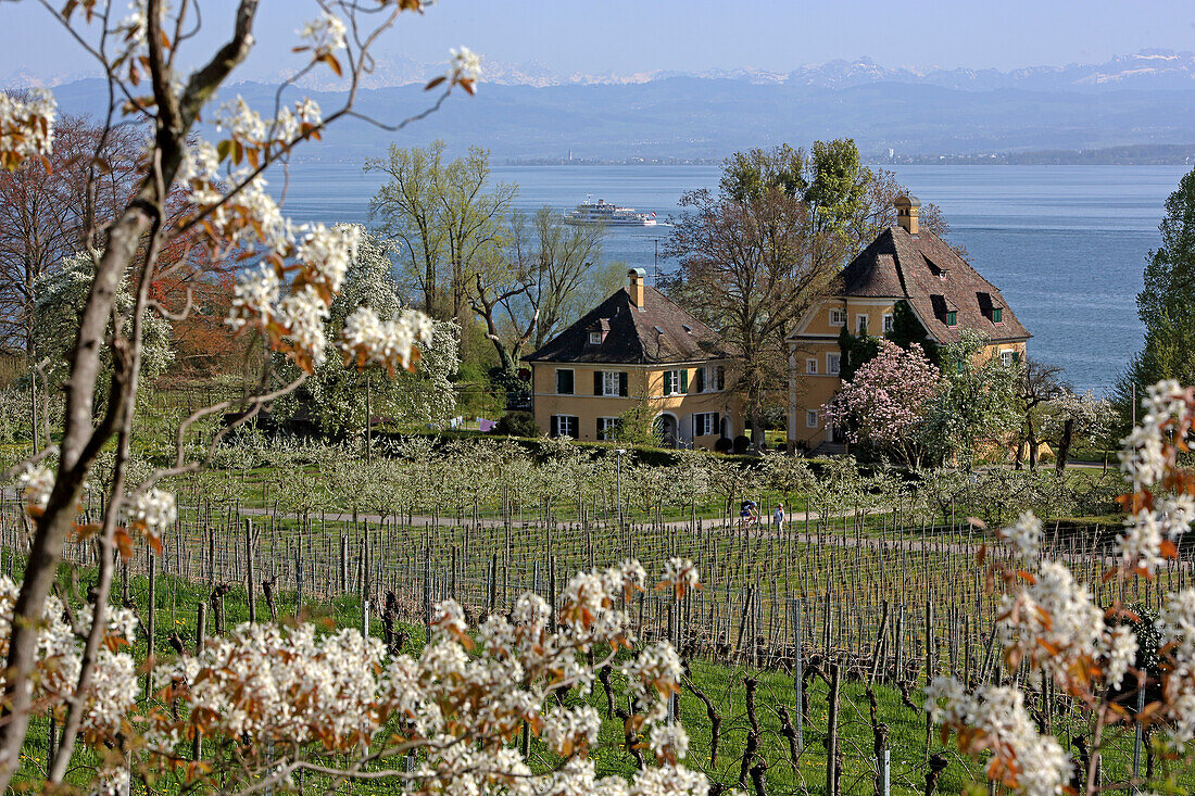 Villa am Bodensee, bei Hagnau, Baden-Württemberg