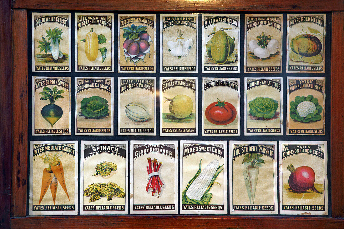 Display of Seeds, Garden Museum, Lambeth Palace, Lambeth, London, Great Britain
