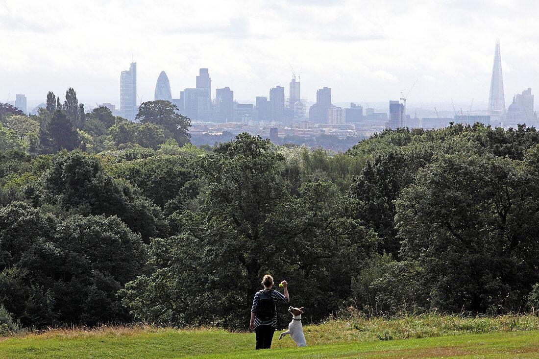 View from Hampstead Heath over London, Great Britain
