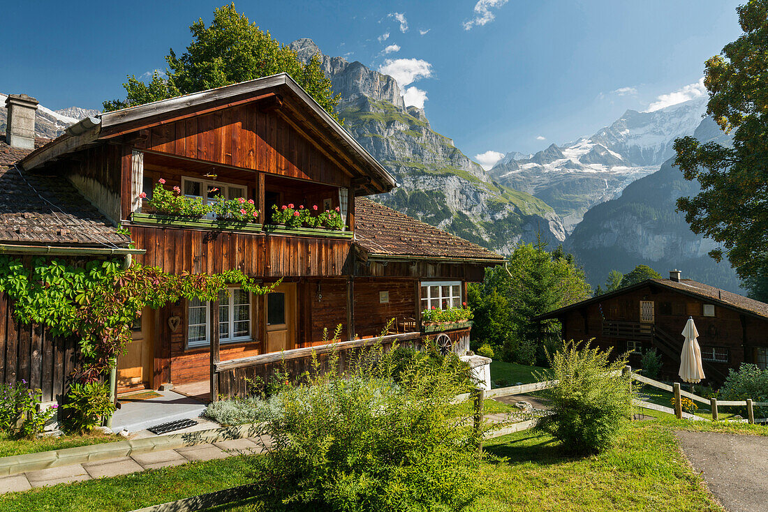 traditionelles Haus, Grindelwald, Mättenberg, Berner Oberland, Schweiz