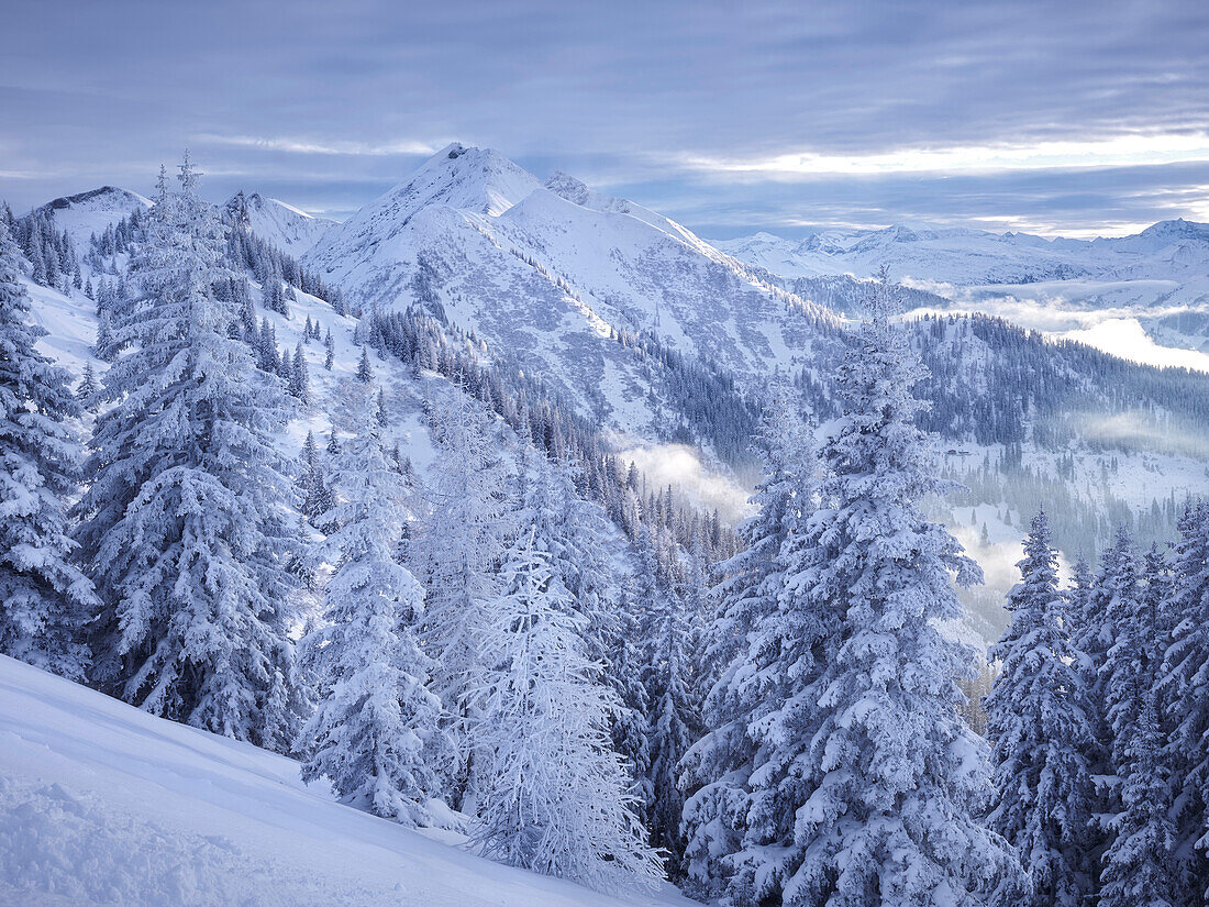 Blick vom Kreuzkogel zum Laderdinger Gamskarspitz, Dorfgastein, Gasteinertal, Pongau, Salzburg, Österreich