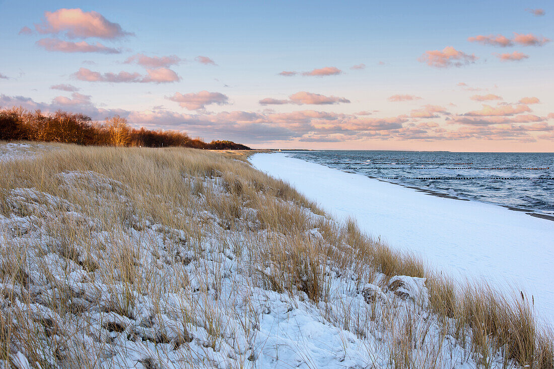 Sunrise, Beach, Winter, Snow, Baltic Sea, Darss, Zingst, Germany