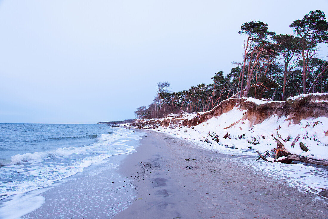 Winter, Beach, Stroll, Baltic Sea, Darss, National Park, Bodden, Germany