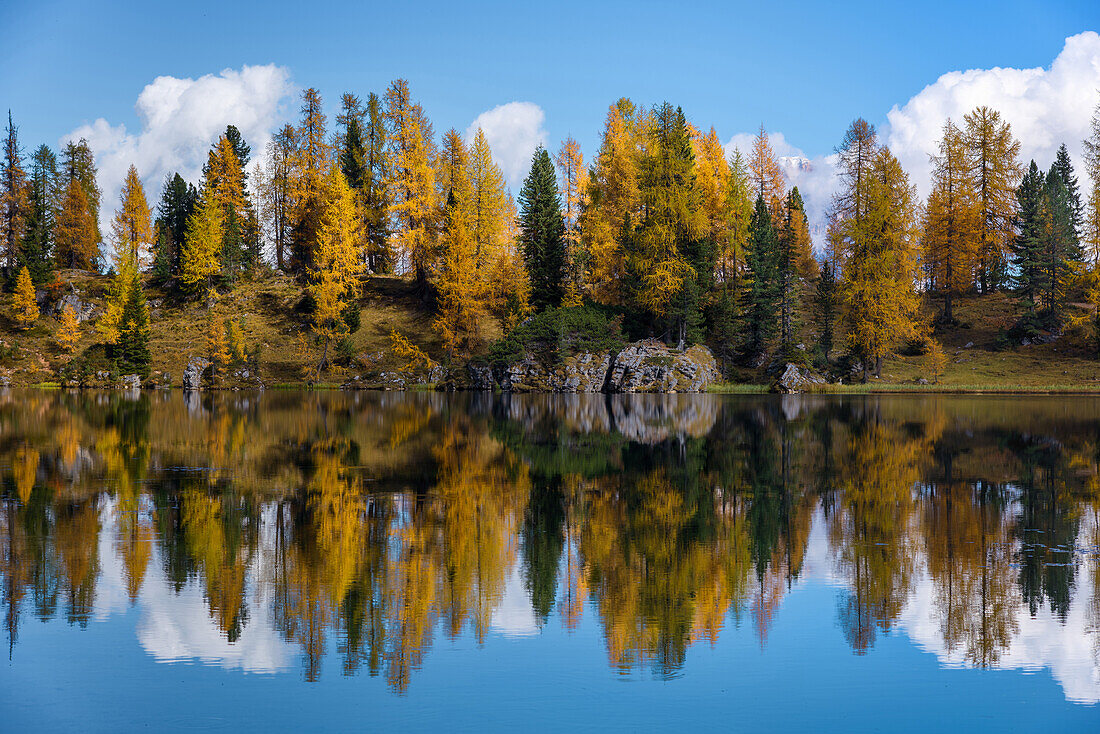 Bergsee, Spiegelung, Herbst, Laubfärbung, Lago Federa, Dolomiten, Italien