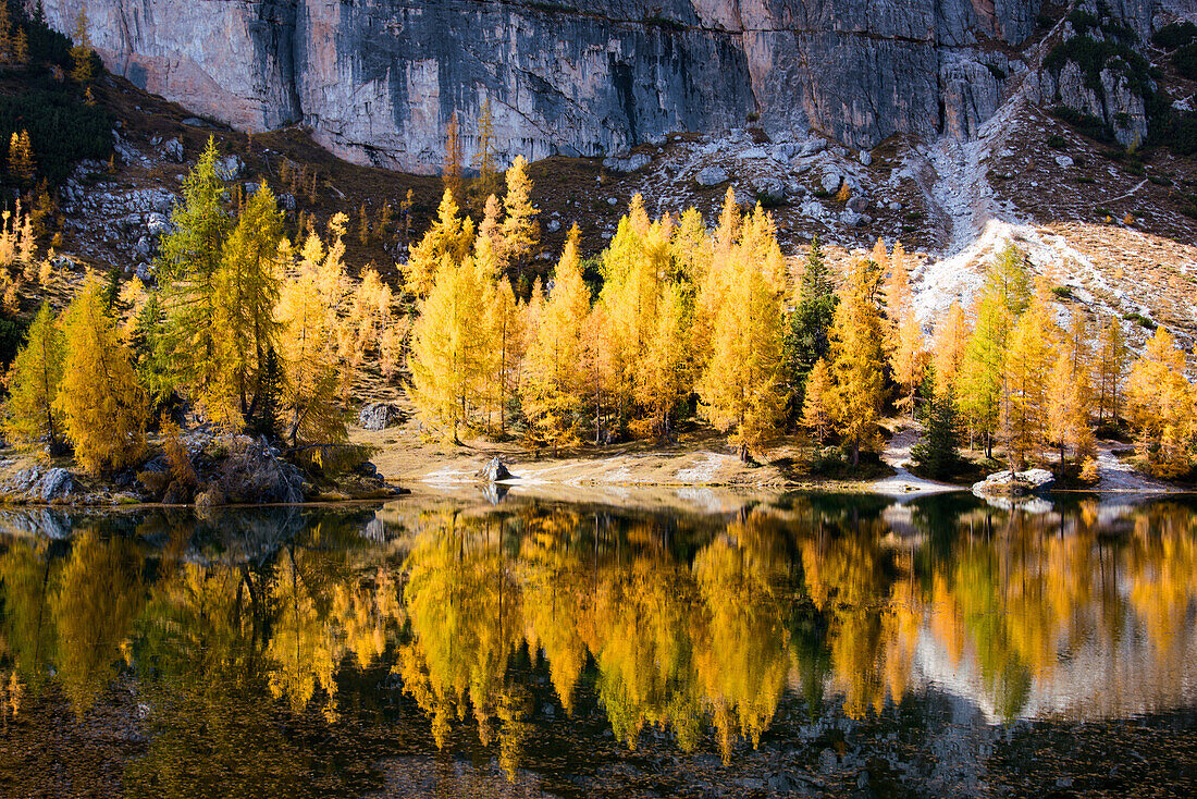 Bergsee, Spiegelung, Herbst, Laubfärbung, Lago Federa, Dolomiten, Italien