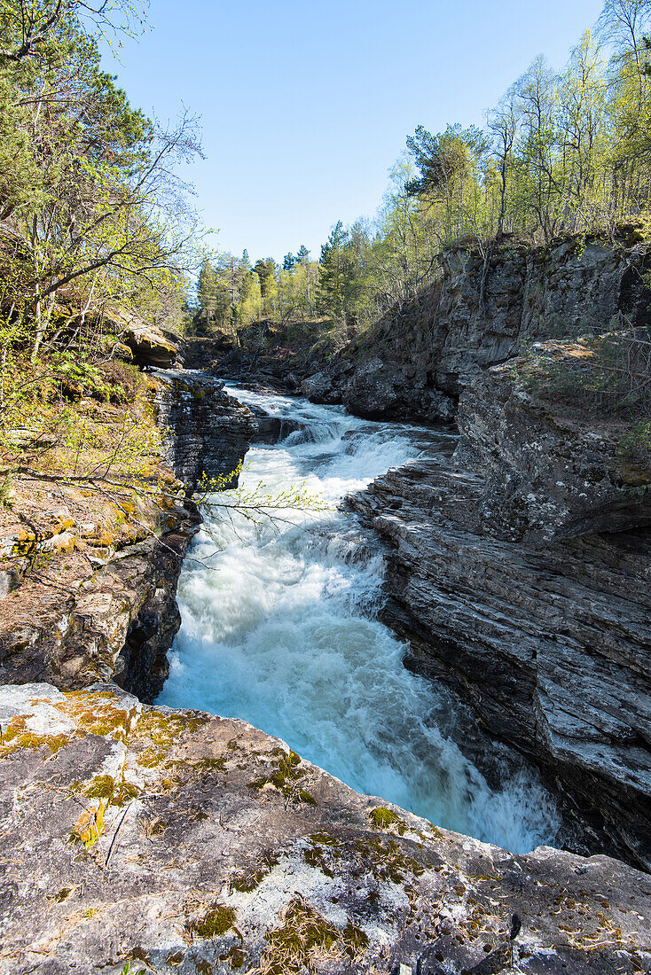 Frühling, Fluss, Wasserfall, Stromschnellen, Rauma, Romsdal, Norwegen, Europa