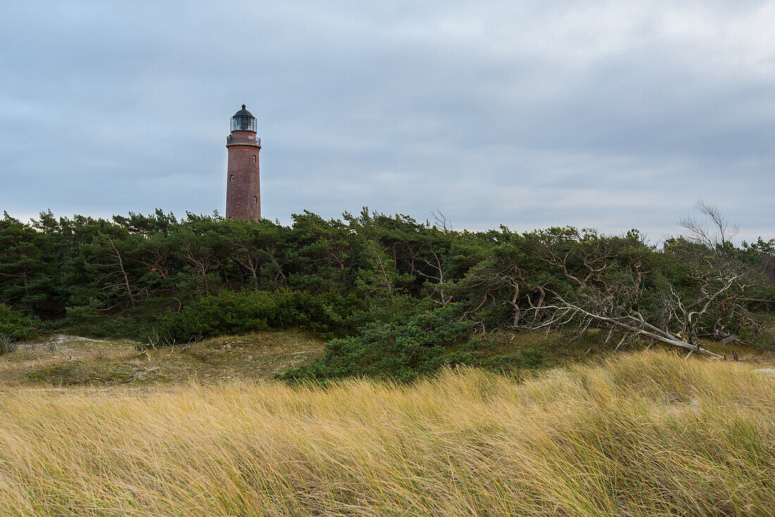 Lighthouse, Coast, Baltic Sea, West Beach, Mecklenburg, Germany, Europe