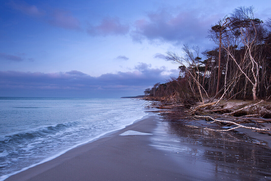 West Beach, Blue Hour, Coast, Baltic Sea, Mecklenburg, Germany, Europe