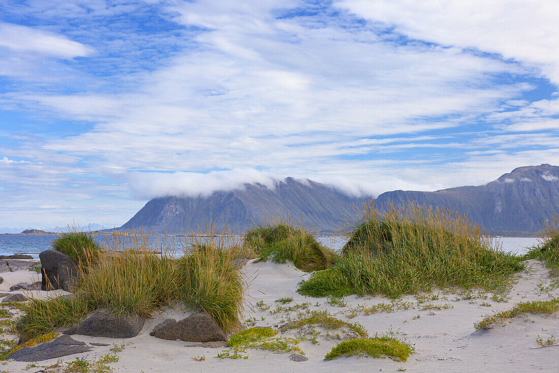 Strand, Eggum, Gras, Bucht, Vestvagoya, Lofoten, Norwegen, Europa