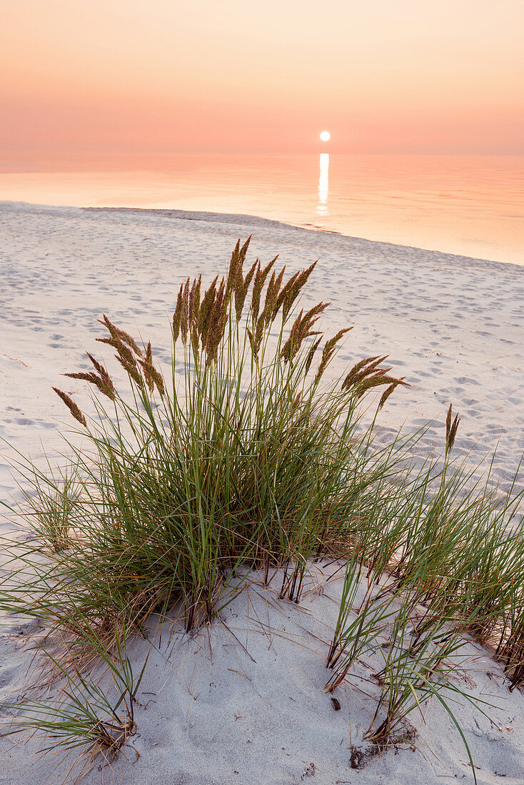 Summer, Sun, Sunset, Beach, Baltic Sea, Mecklenburg, Germany, Europe