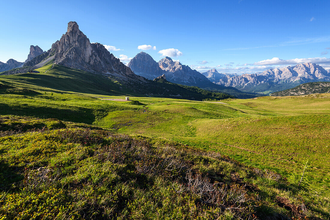 Passo Giau, La Guseal, Nuvolau, Meadow, Dolomites, Alps, Italy, Europe
