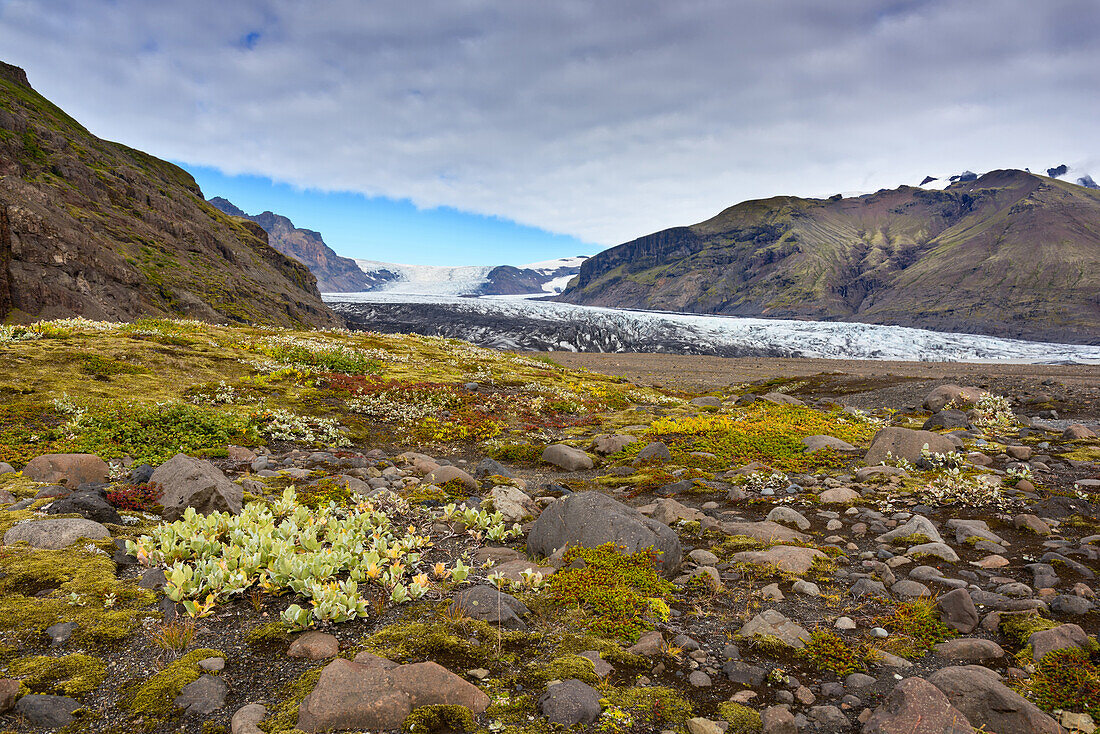 Glacier, Mountains, Glacier Tongue, Skaftafelljoekull, Iceland, Europe