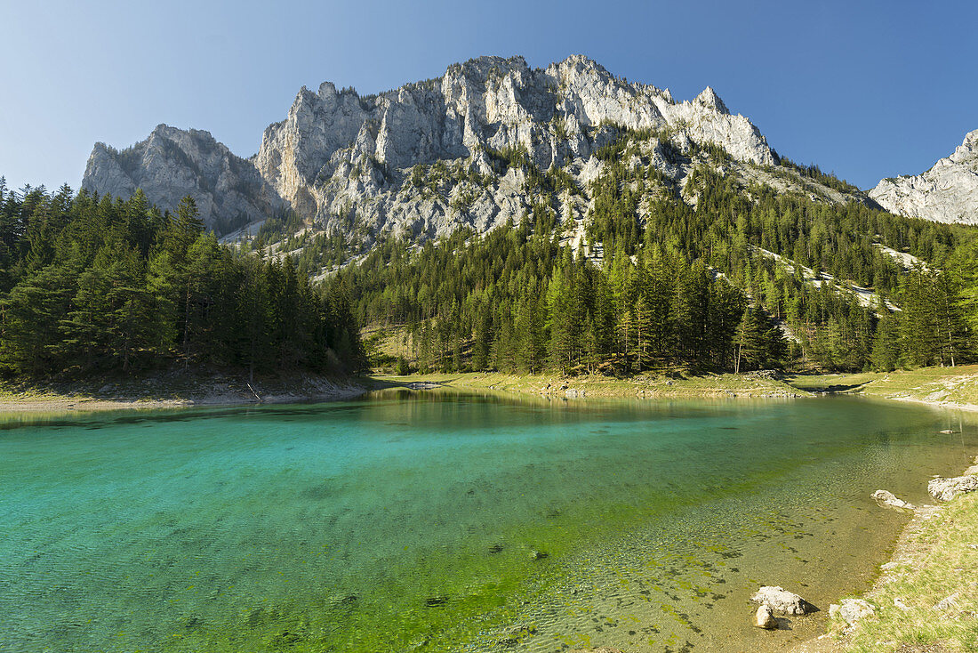 Grüner See, Oberort, Hochchwab Gebiet, Steiermark, Österreich