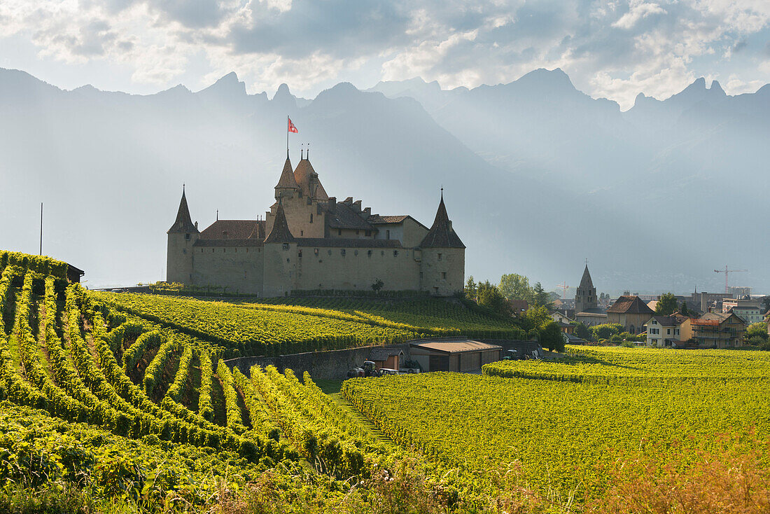 Chateau d'Aigle, Aigle, Vaud, Switzerland