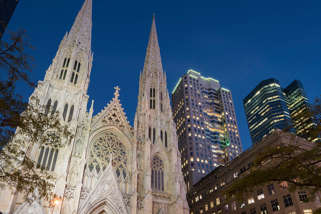 St. Patrick's Cathedral, 5th Avenue, Manhattan, New York City, New York, USA
