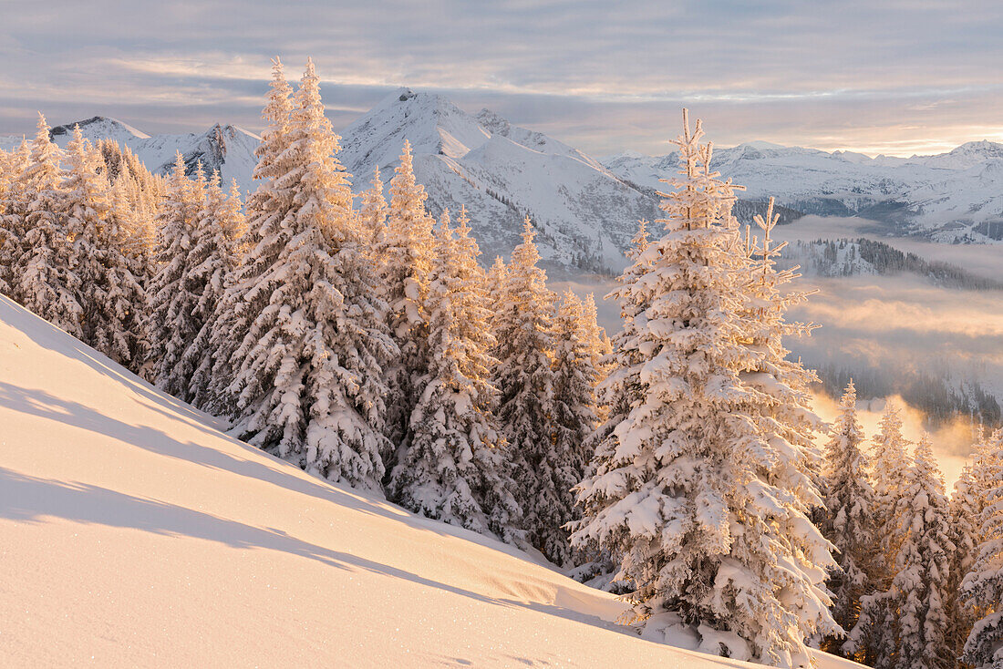 View from the Kreuzkogel to Laderdinger Gamskarspitz, Dorfgastein, Gasteinertal, Pongau, Salzburg, Austria