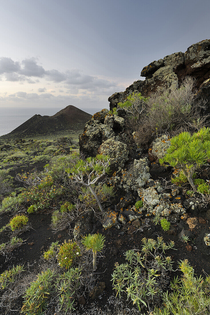 Montana de Lagi, island of La Palma, Canary Islands, Spain