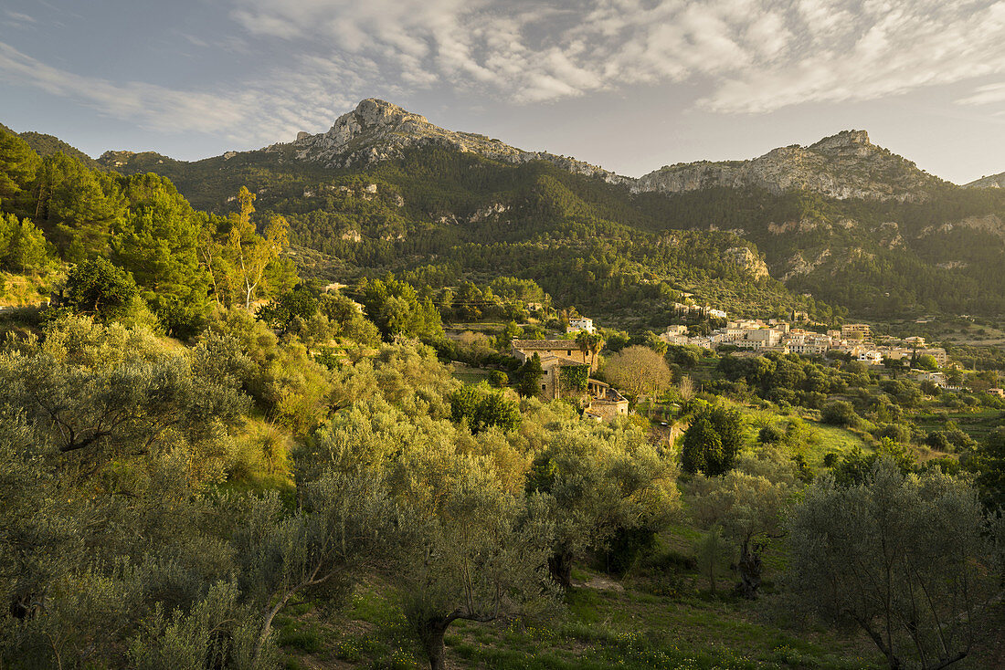 Estellencs, Mallorca, Balearen, Spanien