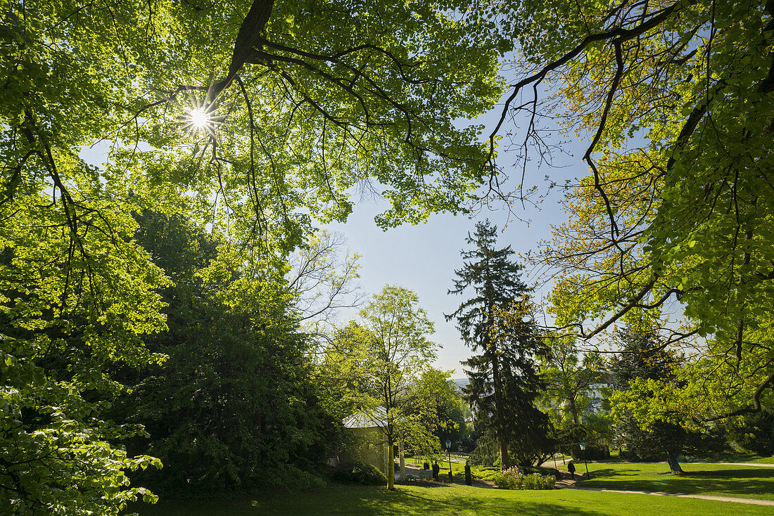 Kurpark, Baden near Vienna, industrial district, Lower Austria, Austria