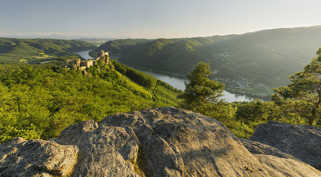 Castle ruins Aggstein, Danube, Wachau, Lower Austria, Austria