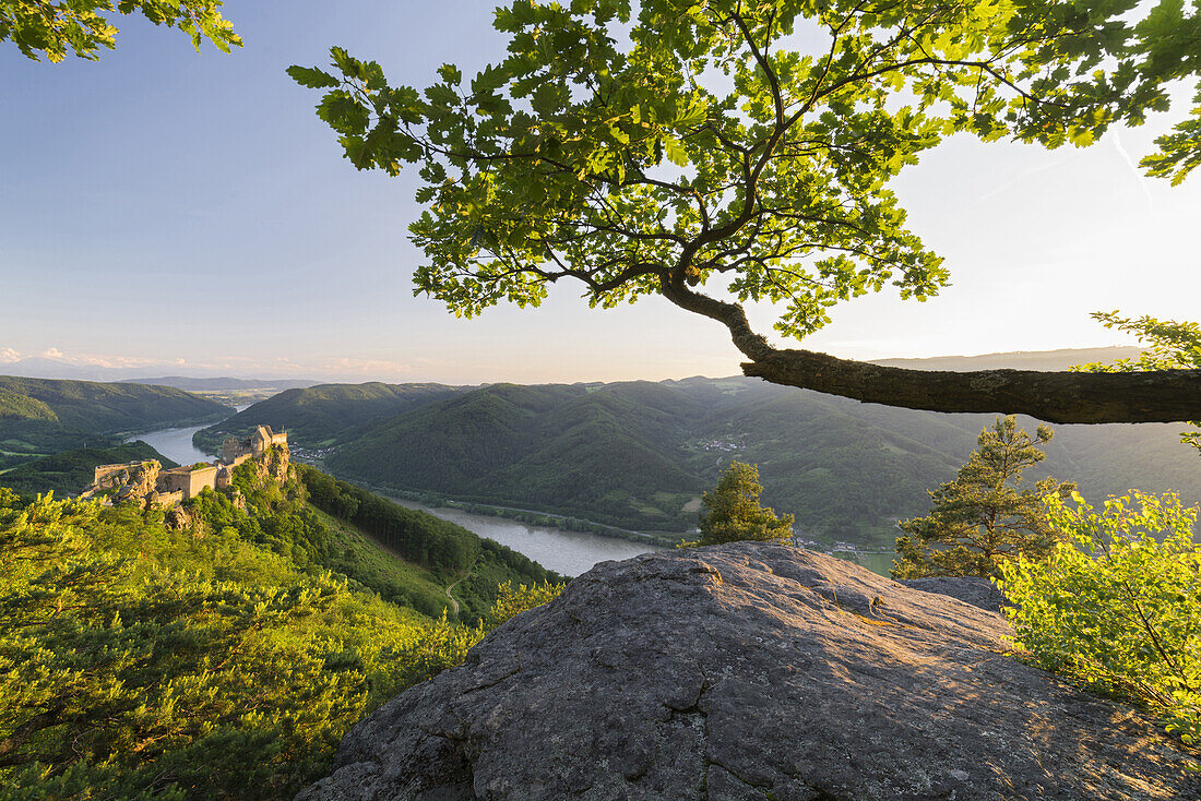 Castle ruins Aggstein, Danube, Wachau, Lower Austria, Austria