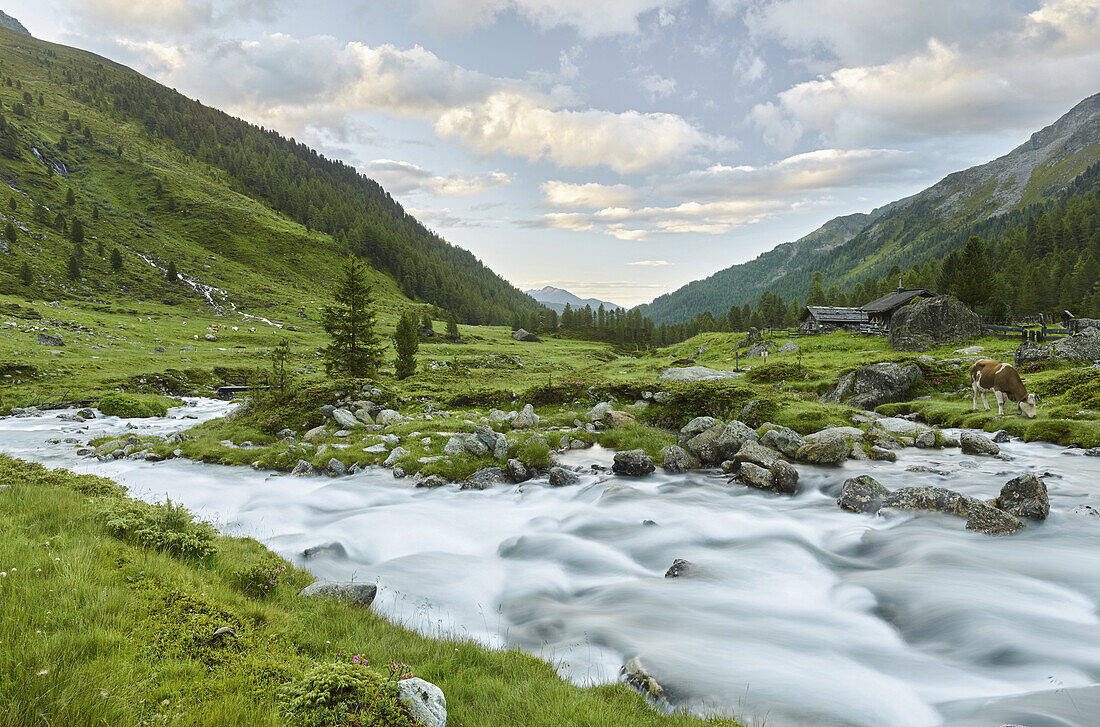 Hofalm, Debantbach, Debanttal, National Park Hohe Tauern, East Tyrol, Tyrol, Austria