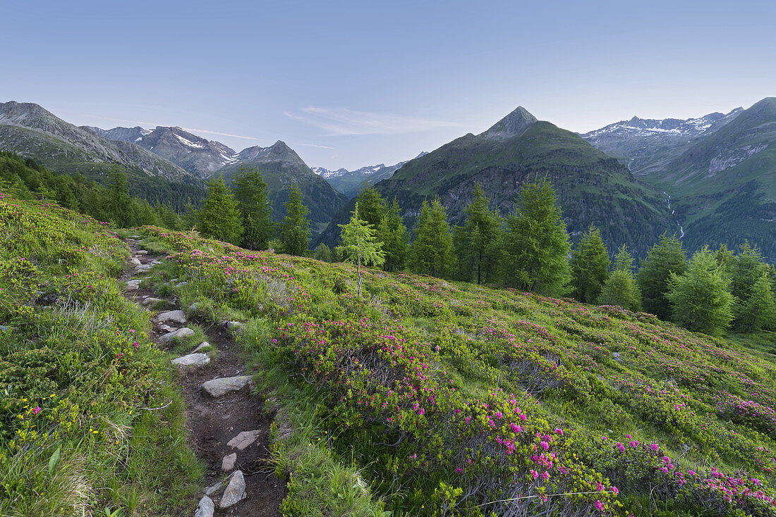 View from Hirschbichl to Defereggental, hiking trail, Hutner (2885m), Hohe Tauern, East Tyrol, Tyrol, Austria