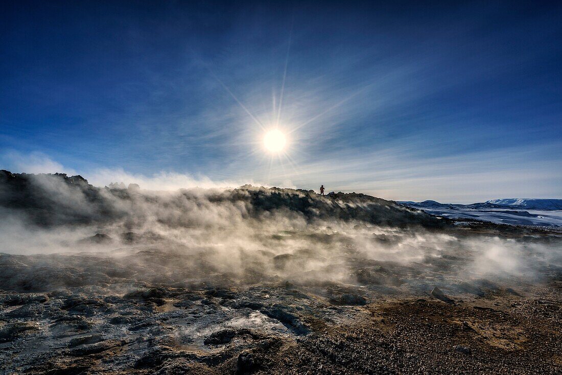 Geothermal hot springs, Hverarond, Namaskard, Iceland. The area is characterized by boiling mud-bogs and solfataras.