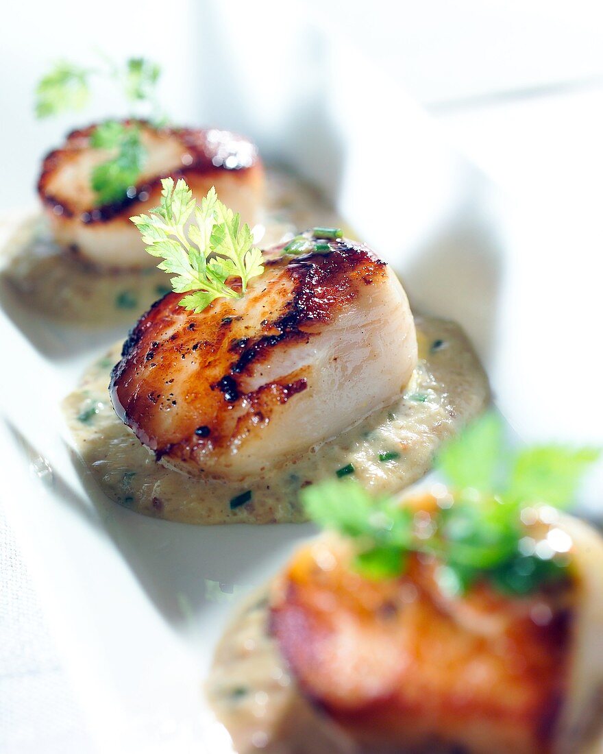 Pan Seared Scallops.