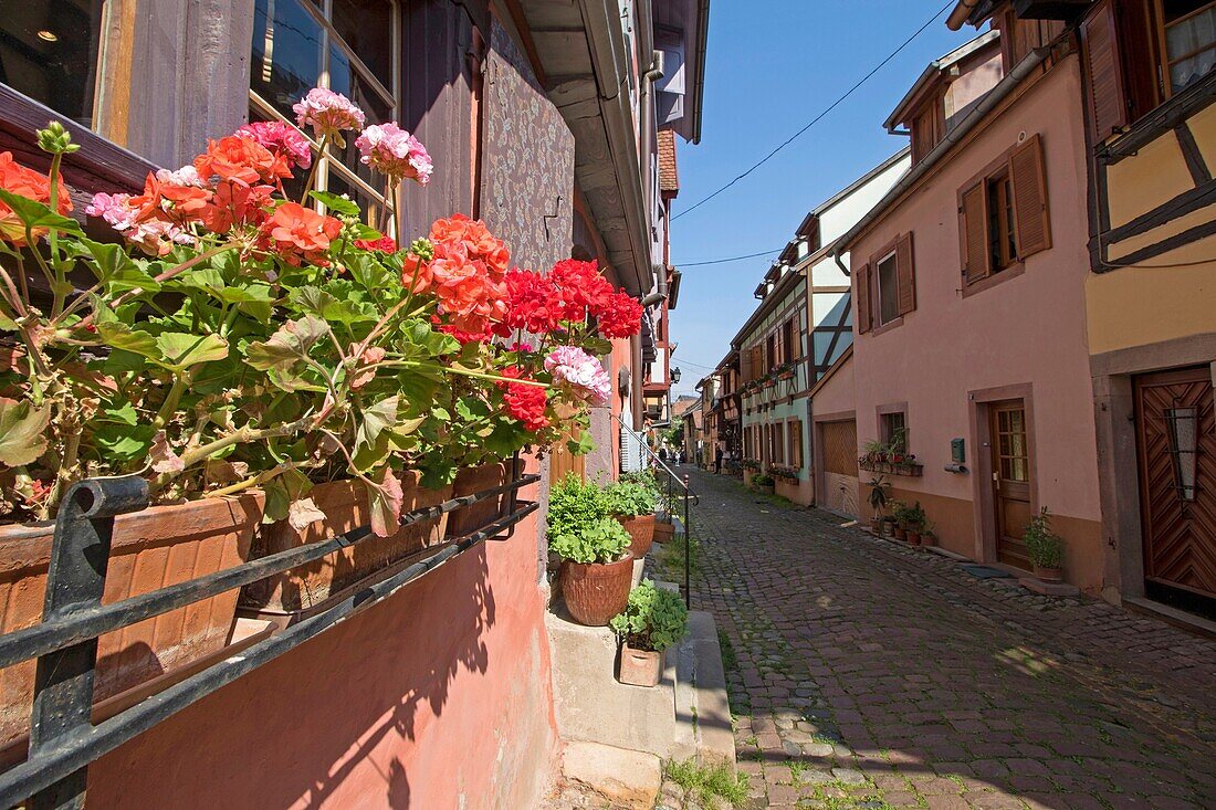 Eguisheim village, traditional colorful houses on May 14, 2016 in Alsace, France.