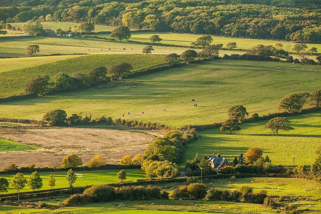 Autumn evening in Poynings village, East Sussex, England. South Downs National Park.