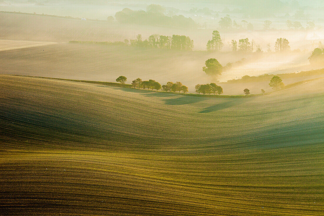 Misty autumn sunrise in South Downs National Park, East Sussex, England.