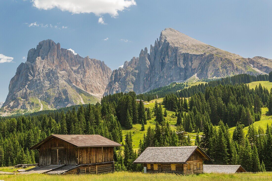 Two barns with two high mountains in background and trees and forest, Selva, val Gardena, Dolomites, Italy.