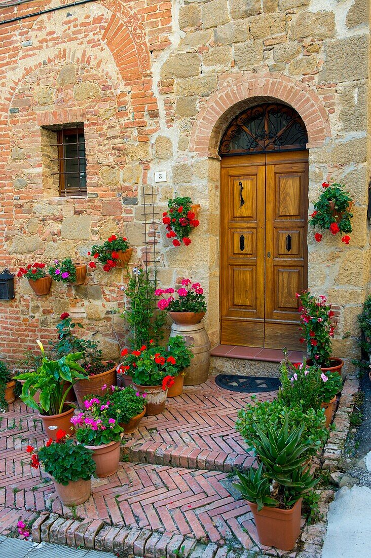 Street scene with flowers in front of house the medieval town of Monticchiello in the Val d'Orcia near Pienza in Tuscany, Italy.