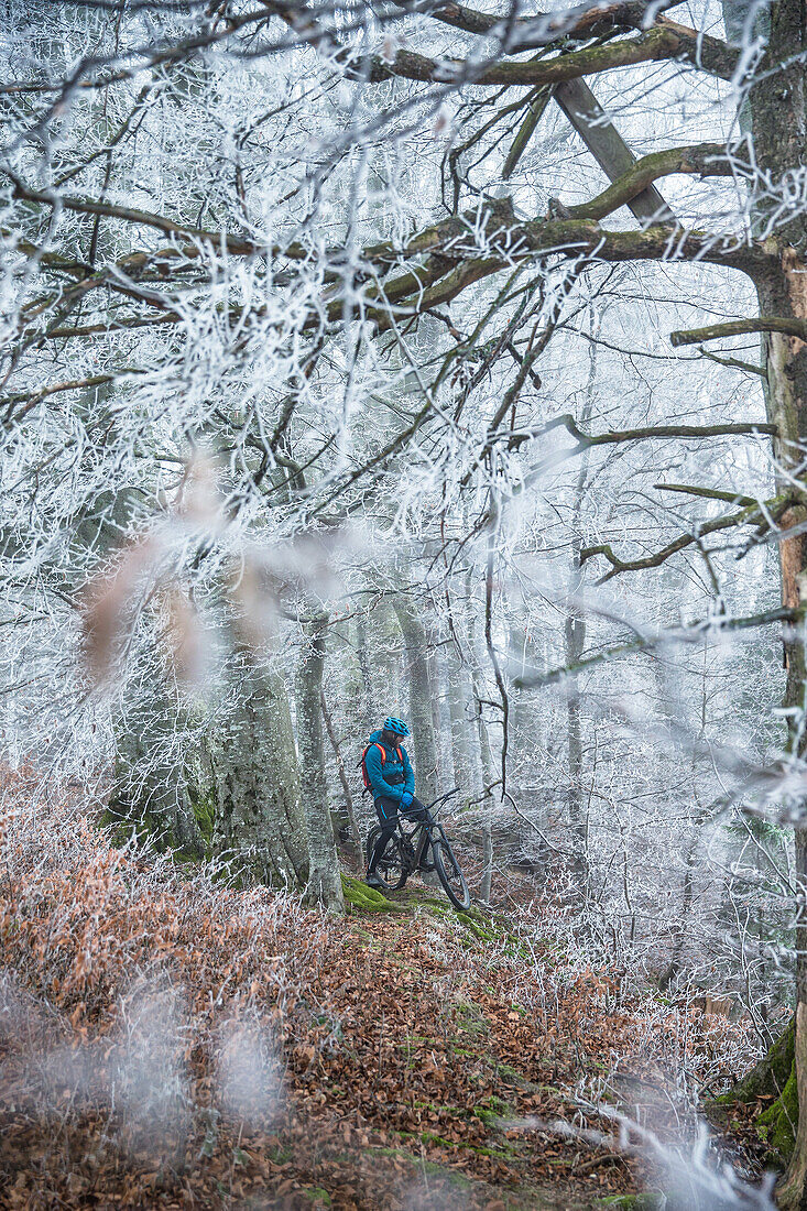 Junger Mann fährt mit seinem Fahrrad durch einen mit Frost bedeckten Wald, Allgäu, Bayern, Deutschland