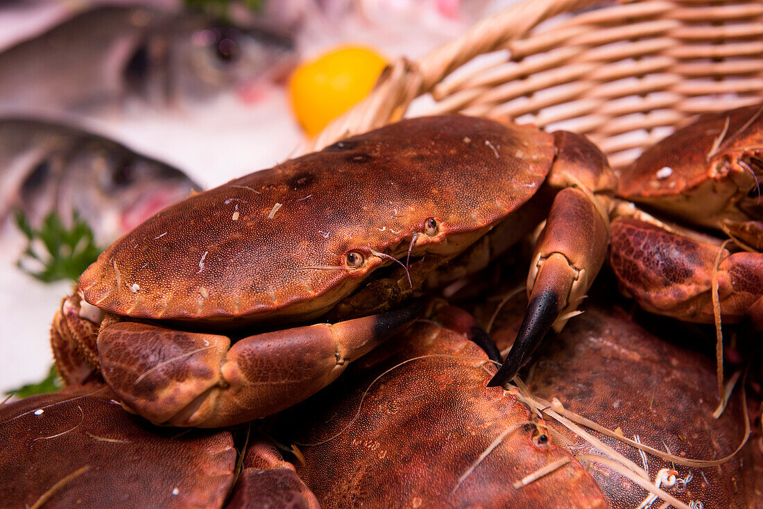 Detail of crab in basket at fish shop