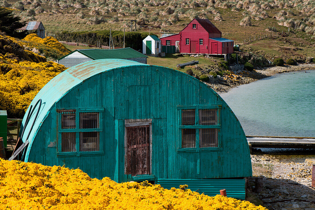 Bunt bemalte Häuser und Hütten, Westpoint Island, Falklandinseln, Britisches Überseegebiet, Südamerika