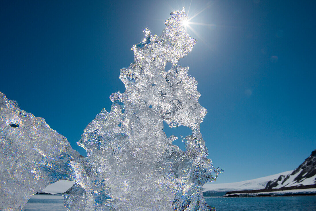 Detail von kristallklarer Eisformation mit Sonne dahinter, Yankee Harbour, Greenwich Island, Südshetland-Inseln, Antarktis