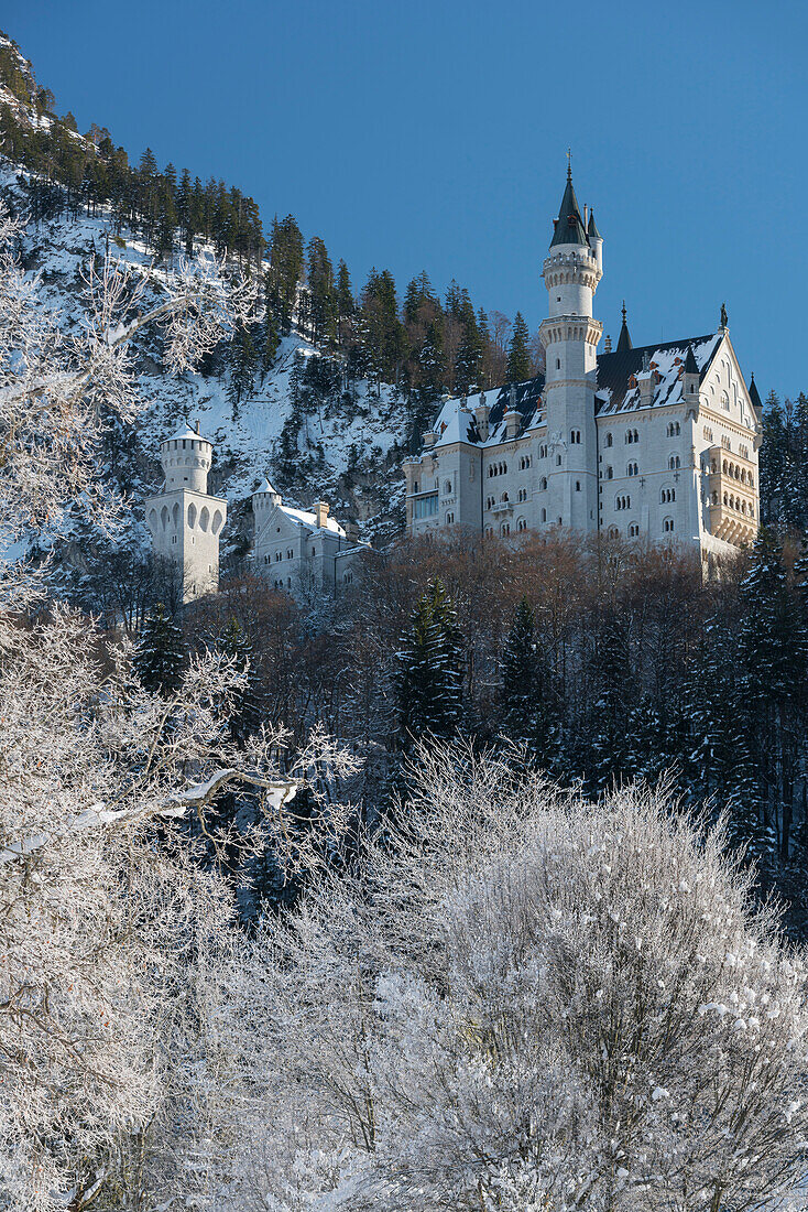 Schloss Neuschwanstein, Schwangau, Allgäu, Bayern, Deutschland