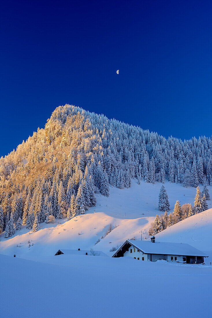 Verschneites Almgebäude mit Heuberg im Hintergrund, Heuberg, Chiemgauer Alpen, Chiemgau, Oberbayern, Bayern, Deutschland