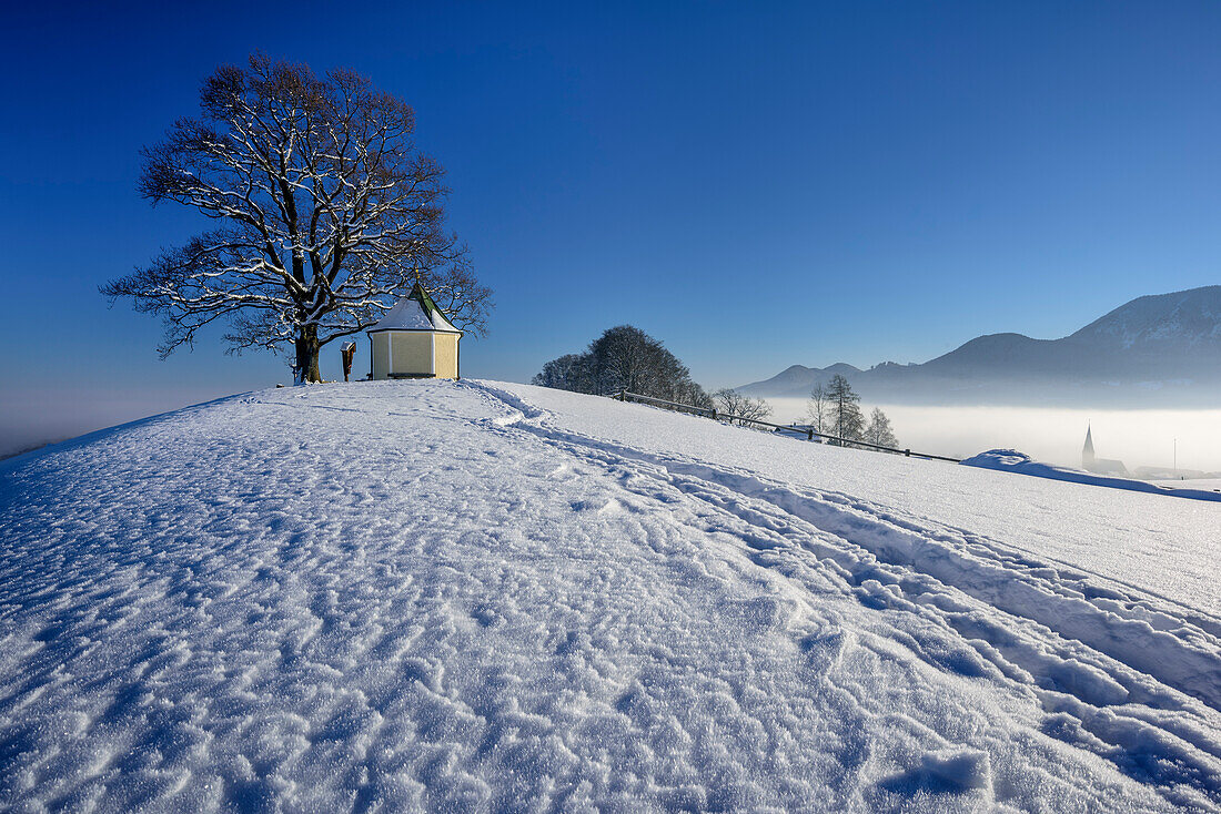 Snow covered tree and chapel, Steinkirchen, Samerberg, Chiemgau Alps, Chiemgau, Upper Bavaria, Bavaria, Germany