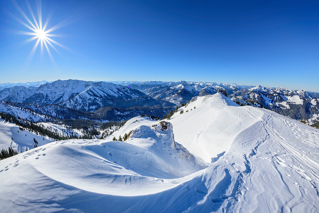 Snow ridge with view to Bavarian Alps, Rotwand, Spitzing, Bavarian Alps, Upper Bavaria, Bavaria, Germany