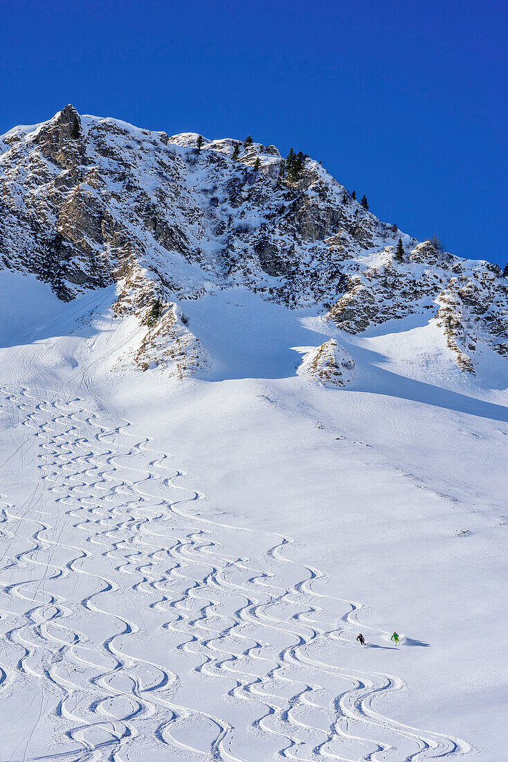 Zwei Personen auf Skitour fahren durch Pulverschneehang ab, Rotwand, Spitzing, Bayerische Alpen, Oberbayern, Bayern, Deutschland