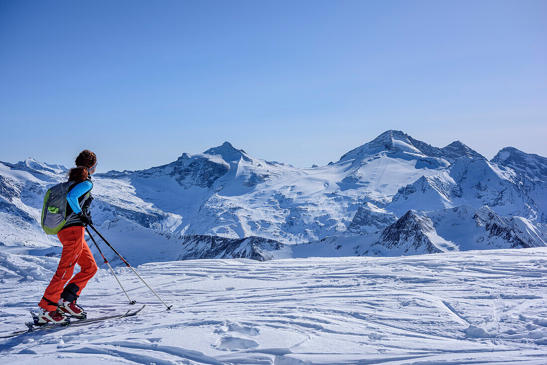 Woman backcountry skiing looking towards skiing area Tuxer Ferne, Geier, Tuxer Alps, Tyrol, Austria