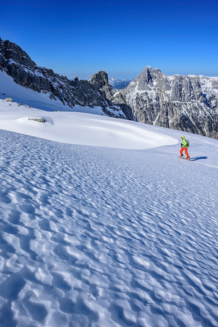 Frau auf Skitour steigt zur Hochfeldscharte auf, Reiteralm im Hintergrund, Sittersbachtal, Hochfeldscharte, Nationalpark Berchtesgaden, Berchtesgadener Alpen, Oberbayern, Bayern, Deutschland