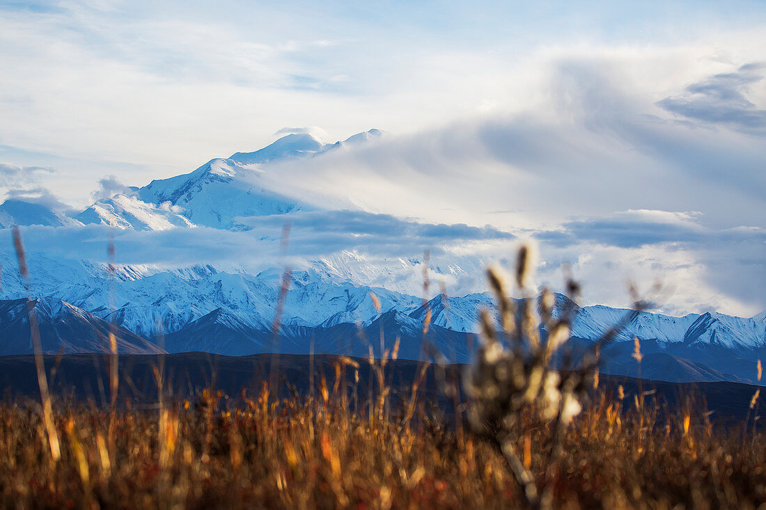 'Clouds obscure the summit of Denali during the road lottery, Denali National Park and Preserve, interior Alaska; Alaska, United States of America'