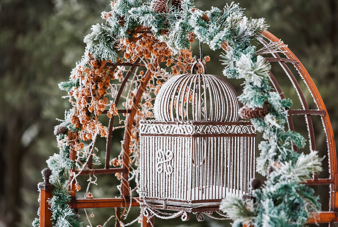 'Hoarfrost covers holiday decorations on antique bird cage and hops arbor, Christmas season; Minnesota, United States of America'