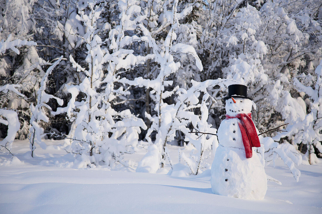 Snowman in front of a snow covered forest and brush, Copper Center, Southcentral Alaska, USA